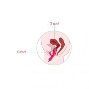 n10291-svakom-trysta-targeted-rolling-g-spot-rabbit-vibrator-9_1_3