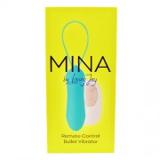 n11318-mina-remote-controlled-vibrator-pkg