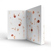 n11707-christmas-desires-advent-calendar-2