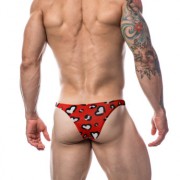 n12063-c4m-brazilian-brief-hearts-x-large-back1