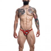 n12063-c4m-brazilian-brief-hearts-x-large-front