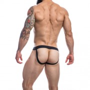 n12069-c4m-mixed-jockstrap-rainbow-medium-back-1