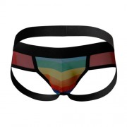 n12070-c4m-mixed-jockstrap-rainbow-large-back