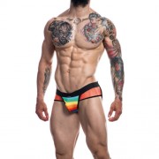 n12070-c4m-mixed-jockstrap-rainbow-large-front