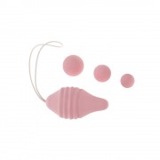 n12409-femintimate-pelvix-muscle-trainer-5